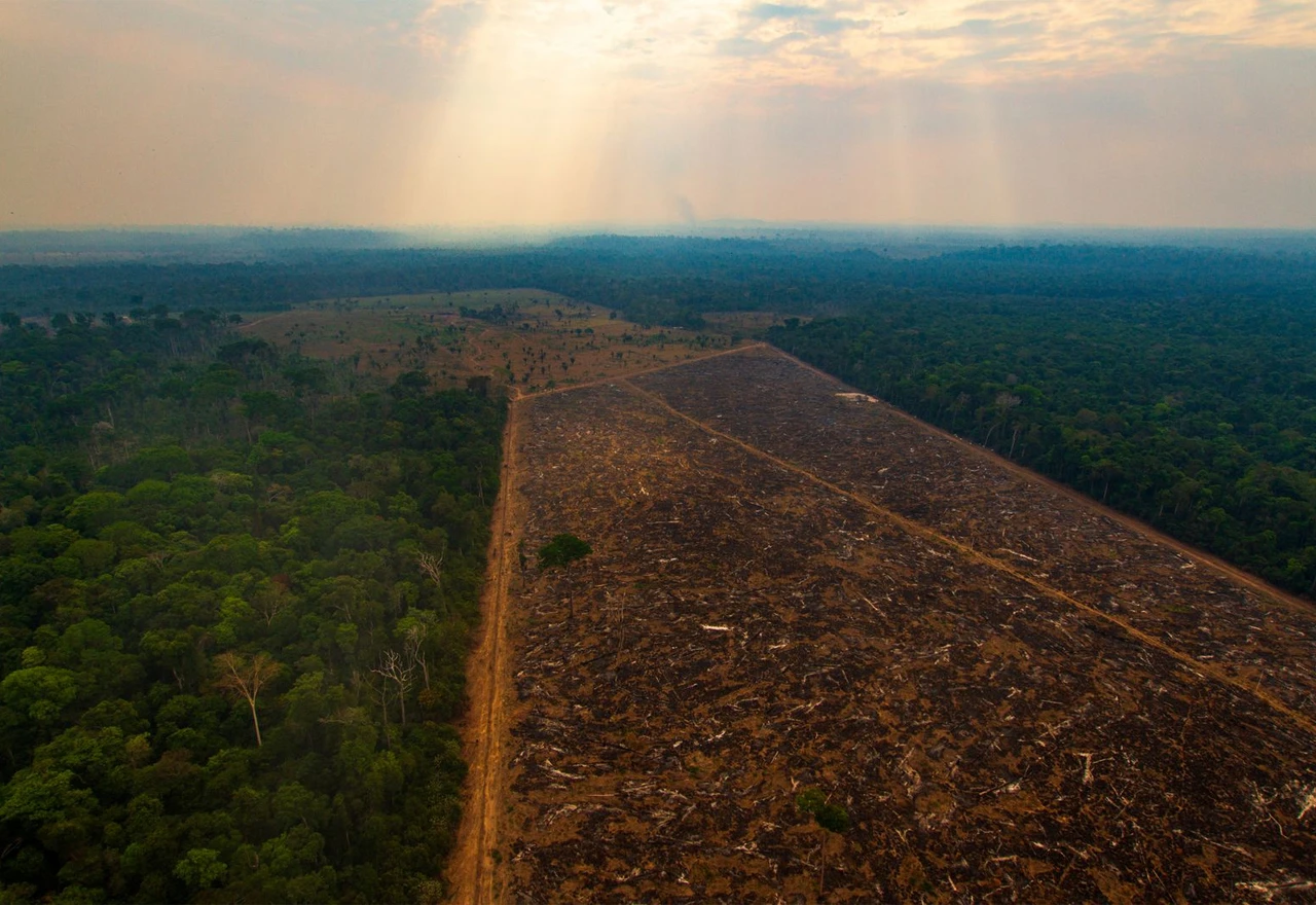 Klimatske promjene izbrisat će Amazonsku prašumu s lica Zemlje do 2064.