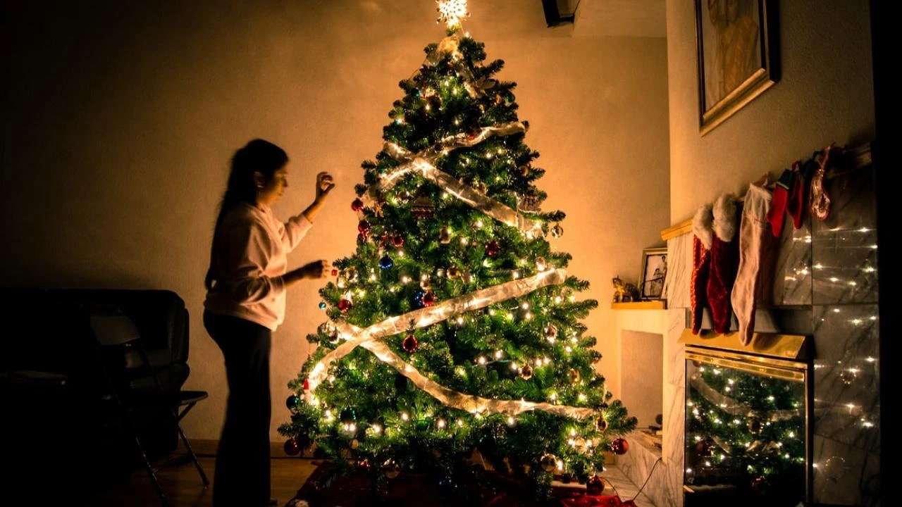 Znate li kada treba kupiti božićno drvce i kako ga sačuvati?