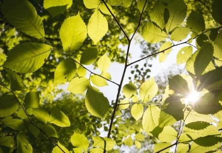 Novi tjedan sunčan sa temperaturama do 22 stupnja