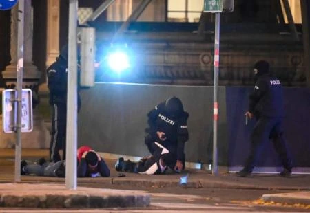 Ankara: Turska stoji uz austrijski narod