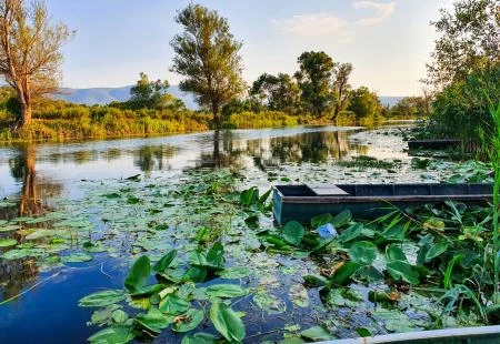 Birdwatching, najbrže rastuća grana turizma, najveći potencijal ima u Hutovu blatu