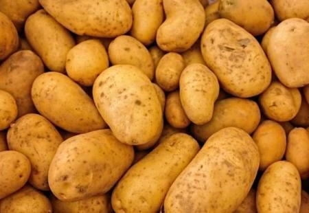 Pet običnih namirnica koje mogu biti smrtonosne