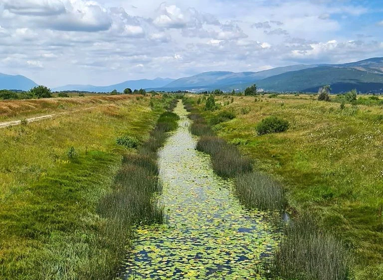 Kroz livanjsko polje uz kanal prepun lokvanja