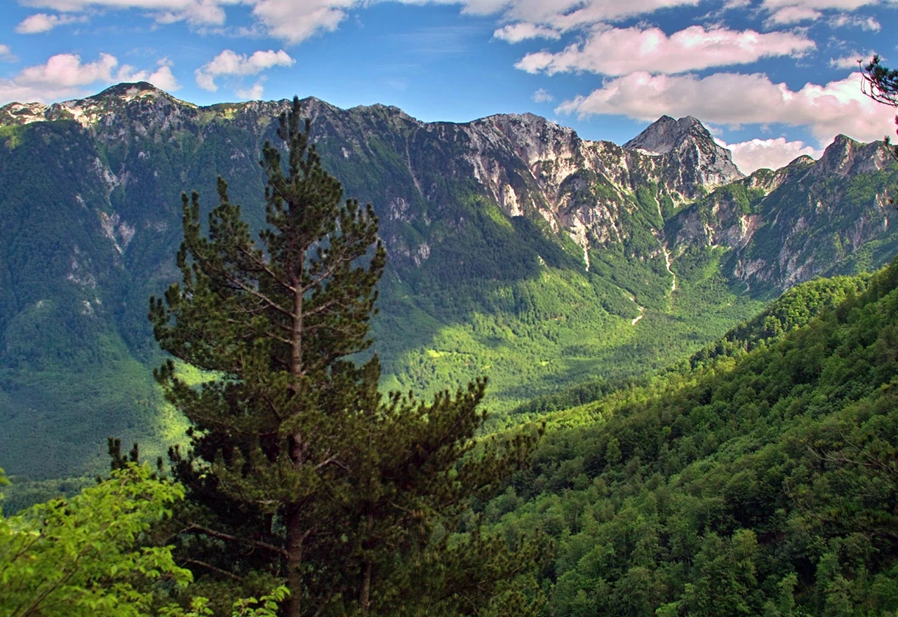 Konjic: Umjesto munike, niče kamenolom?