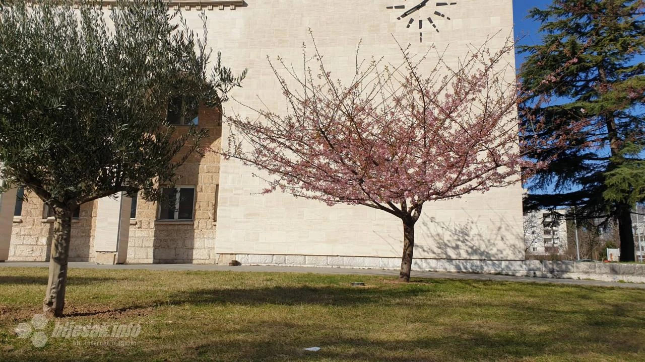 Danas nas sunce grije
