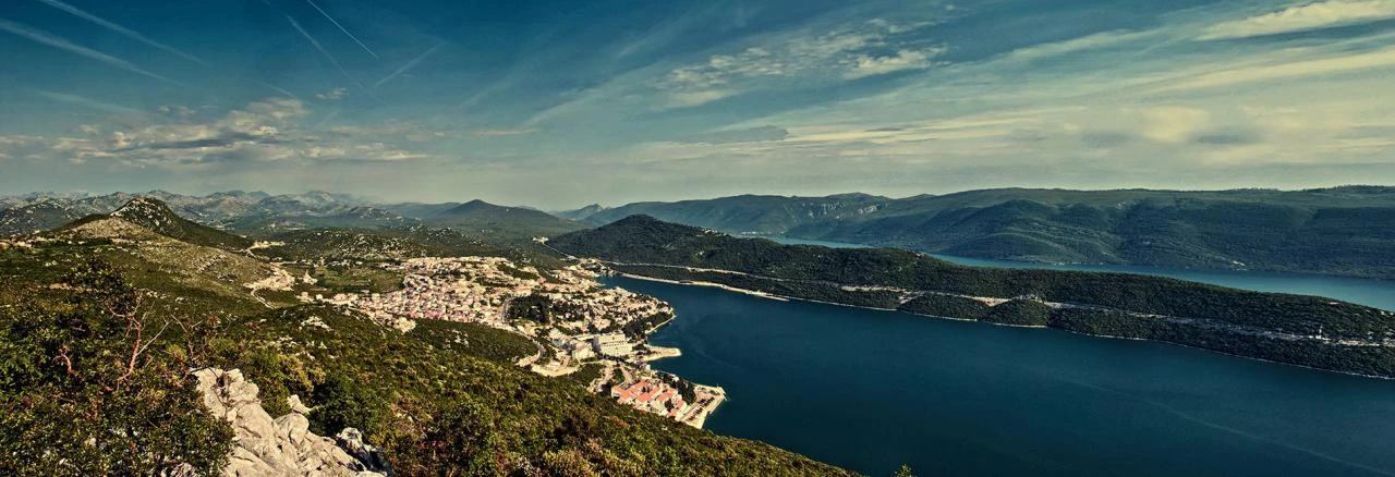 Rad neumskih službi u borbi protiv koronavirusa