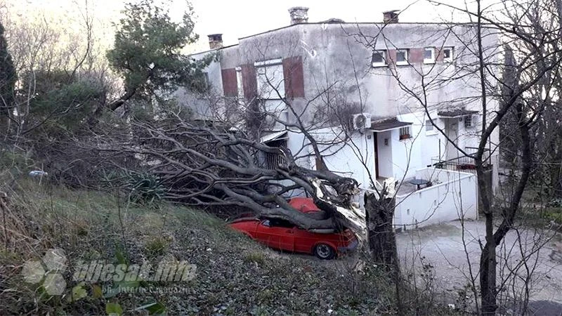 Mostar: Stablo zarobilo ljude u zgradi