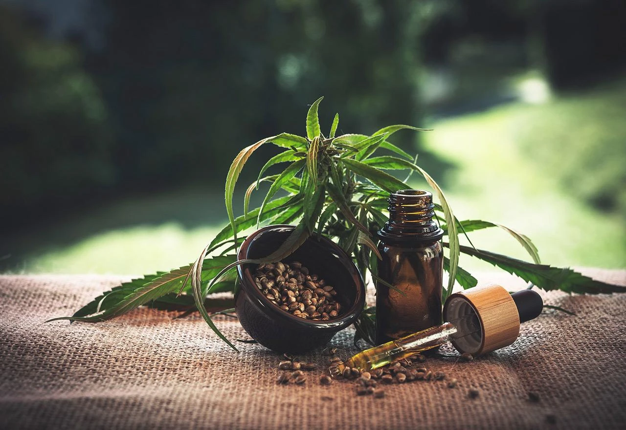 Nova ministrica – novi korak prema legalizaciji marihuane u BiH?