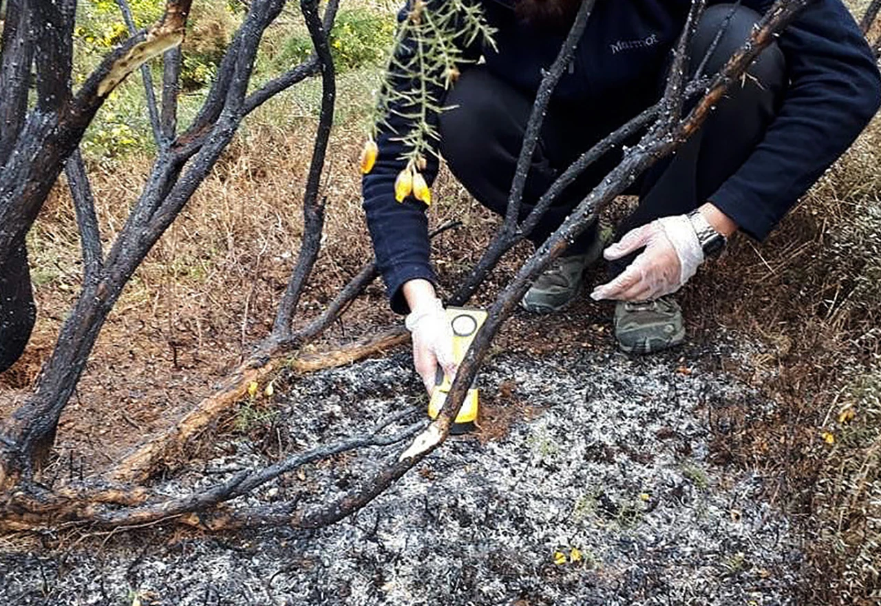 Misteriozne 'vatrene kugle' iznad Čilea