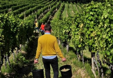 Proizvodnja voća i povrća: Hercegovina može više