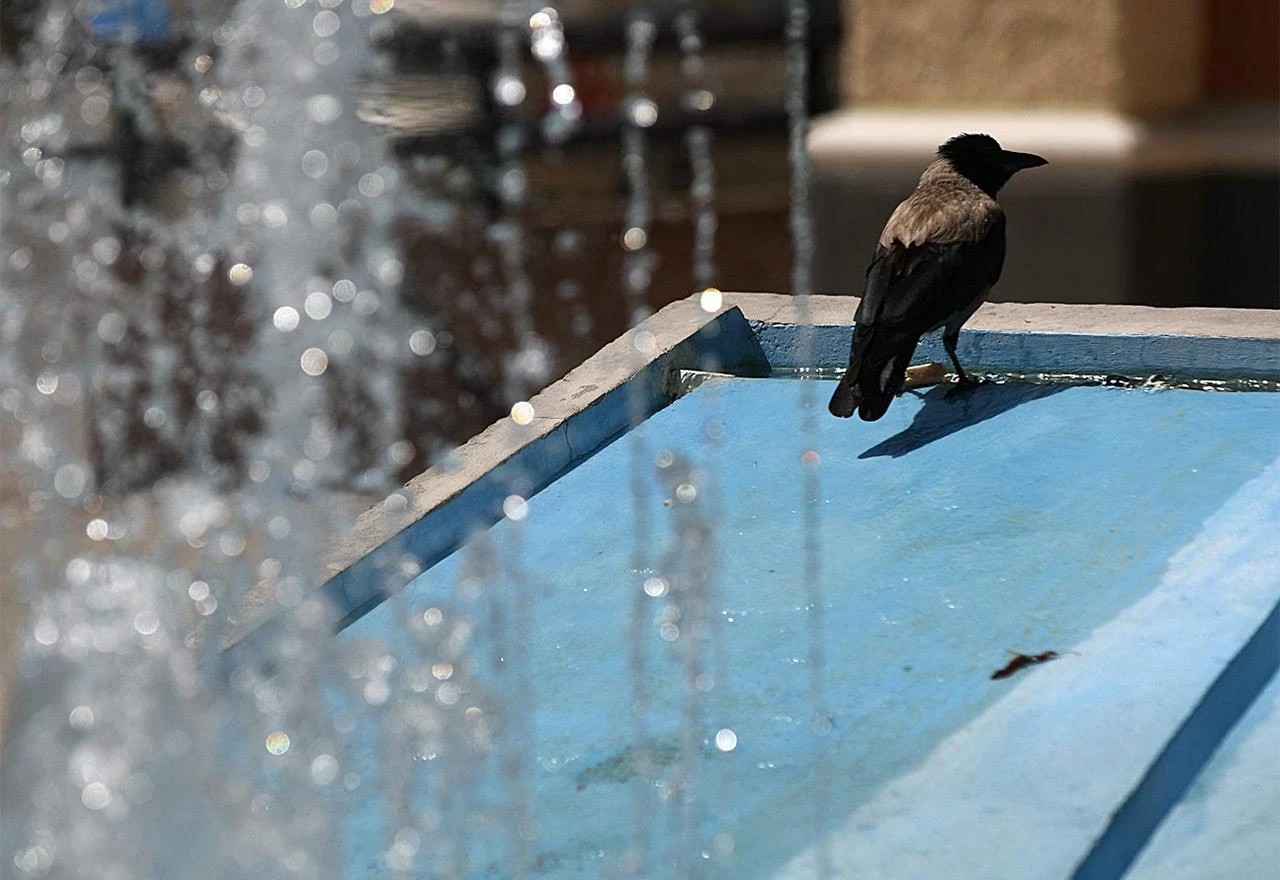 U Belgiji i Nizozemskoj srušeni temperaturni rekordi