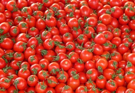 Ugrožena klasična proizvodnja rajčice u Hercegovini