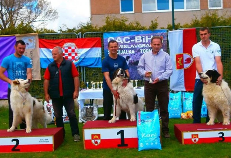 Pas ''Aga'' pobjednik Specijalizirane izložbe tornjaka u Tomislavgradu