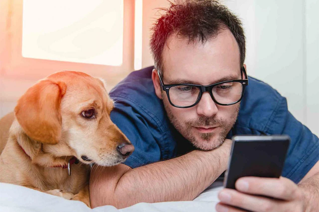 Kućni ljubimci - na meti mobilne telefonije