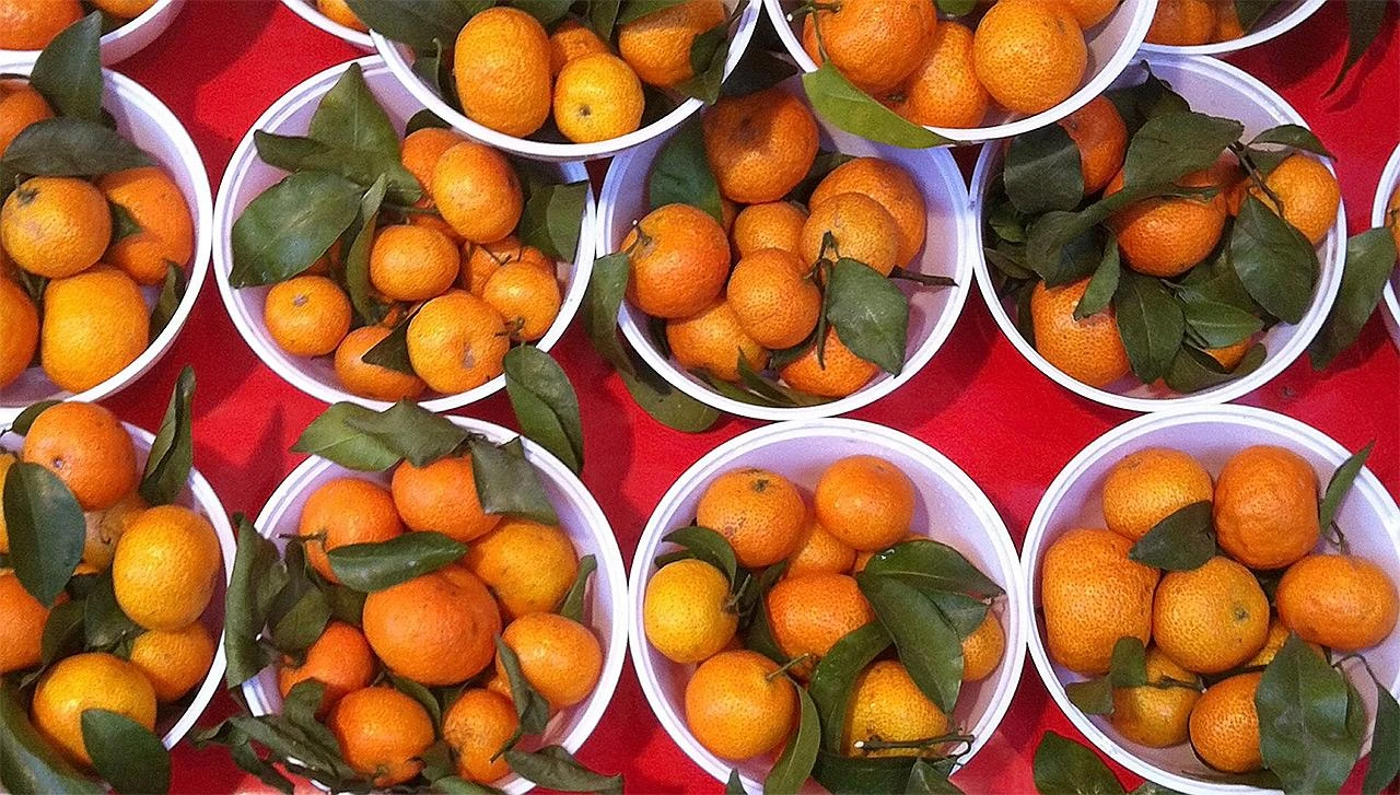 Više od 10 tona turskih mandarina ne može u RS