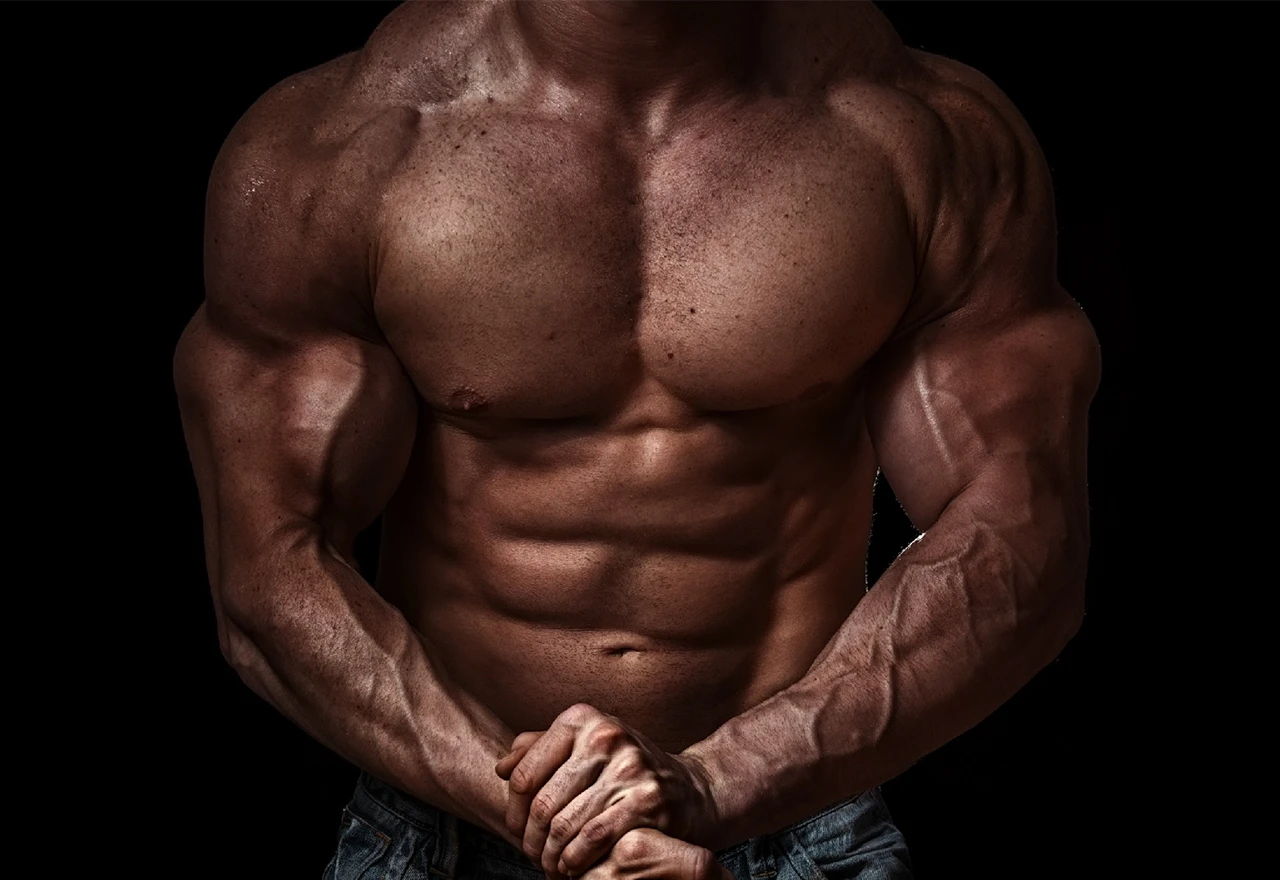 Bodybuilderi u autobusu: Česi pokušali prokrijumčariti tablete, drogu...