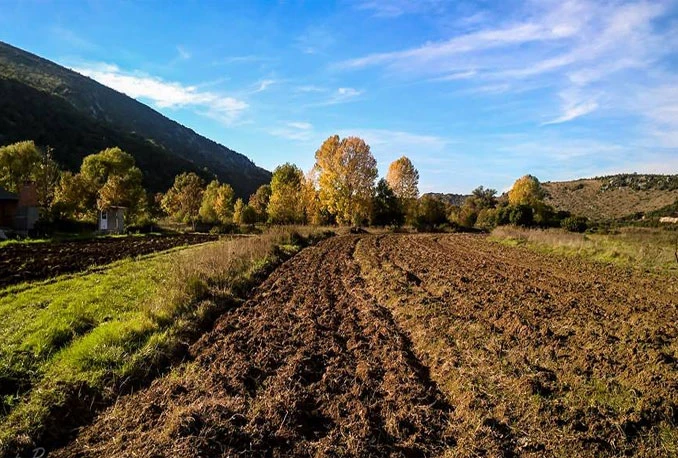 Dolaze bolji dani za bh. poljoprivredu?