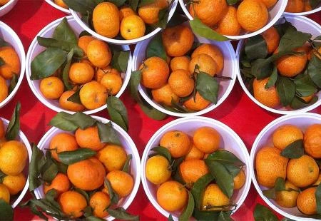 Recept za neodoljivu marmeladu od mandarina