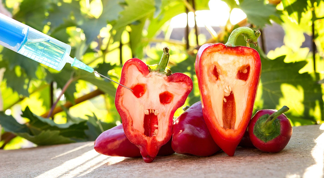 Posljedice za zdravlje: Konzumiranje GMO hrane kasnije dođe na naplatu