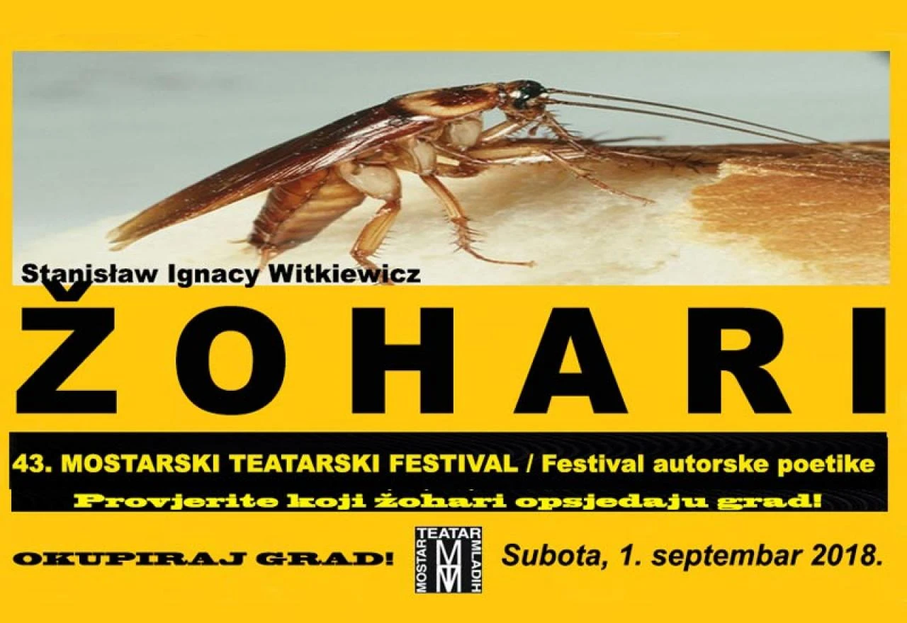 Žohari u Mostaru