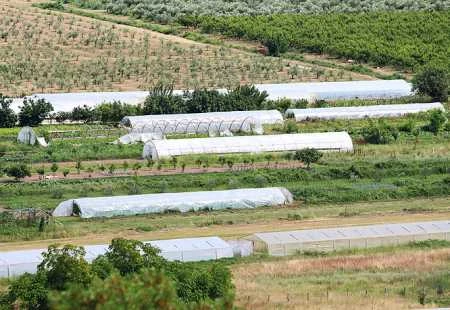 Općina Tomislavgrad sufinancira dodjelu plastenika 