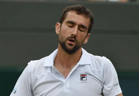 Čilić pao na sedmo mjesto, Đoković opet u Top 10