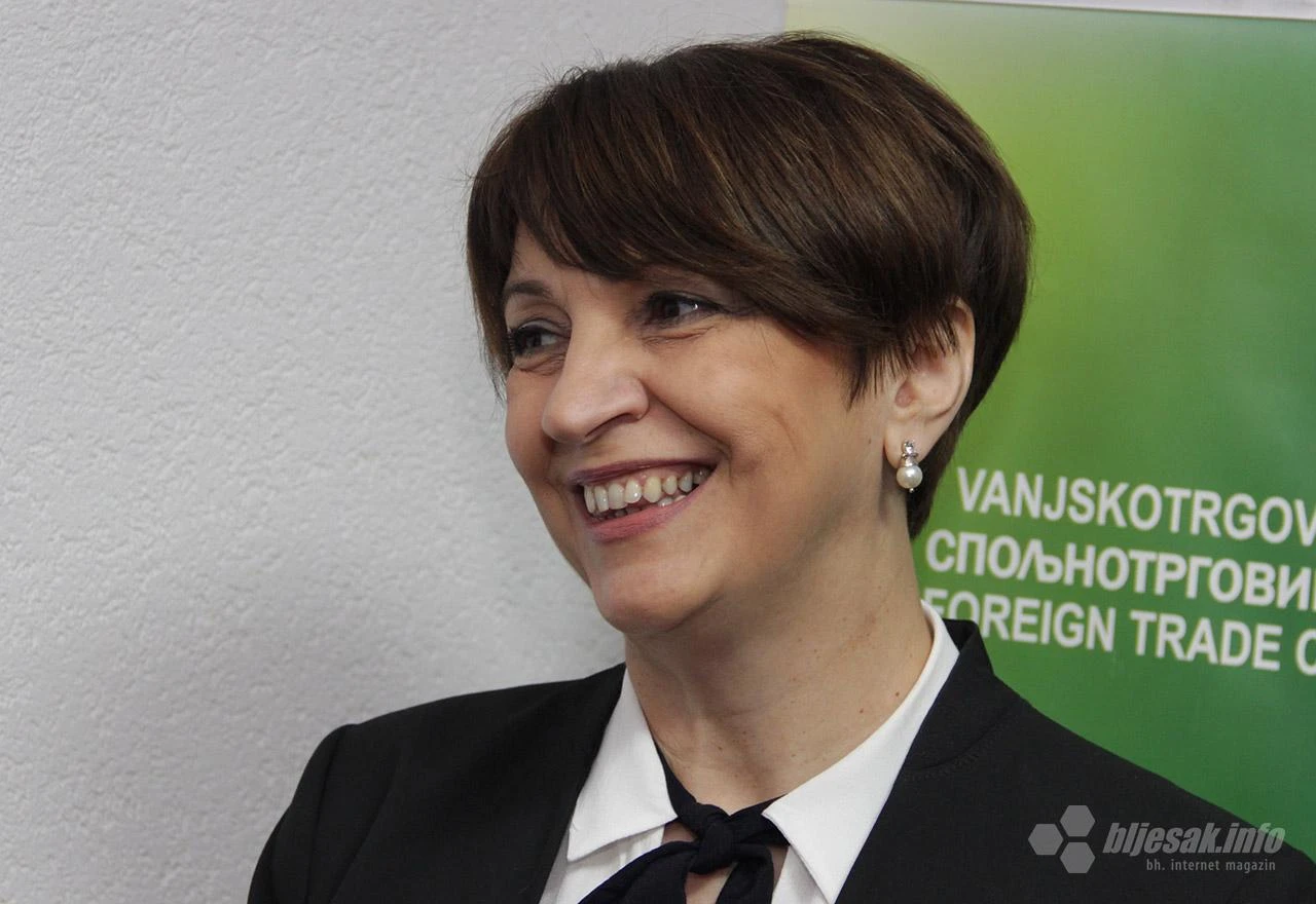 Hadžiabdić: Opći izbori između 7. i 9. svibnja; Prijedlog Izbornog zakona nerealan