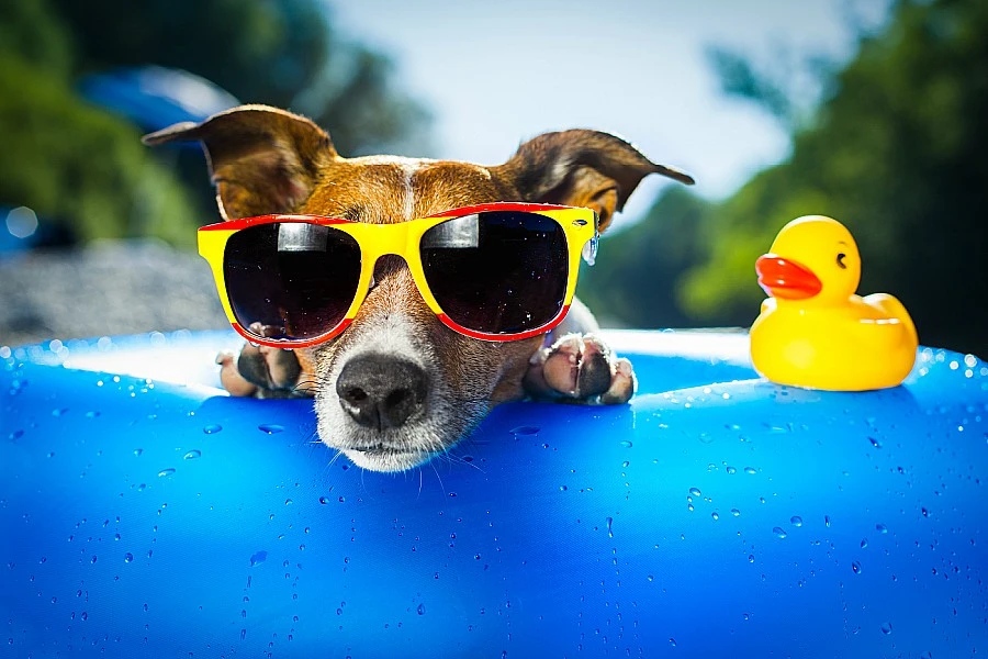 Ljetne temperature stigle u BiH: Živa će skočiti na 30 stupnjeva