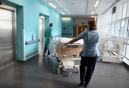 Umjesto medvjeđeg luka pojeli otrovni mrazovac: Jedna osoba preminula, druga kritično