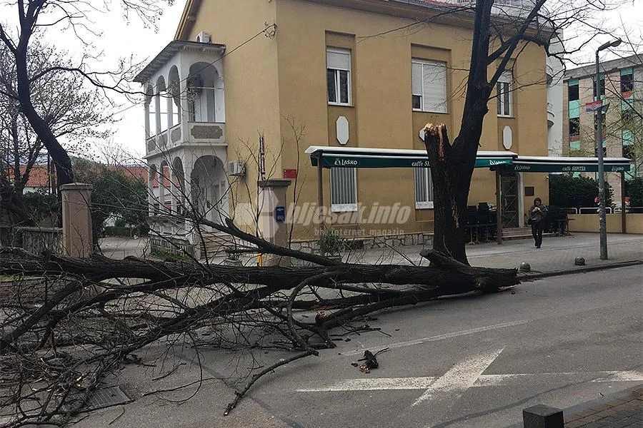 Mostar: Jak vjetar oborio stablo i otpuhao hladnjak