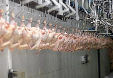 Četiri bh. objekta spremna za izvoz piletine i proizvoda od piletine u države EU