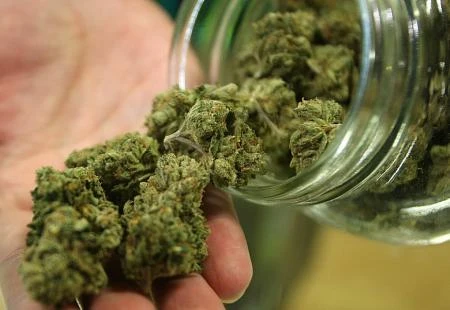 Pacijenti na čekanju: BiH će biti potrebno puno vremena da legalizira kanabis