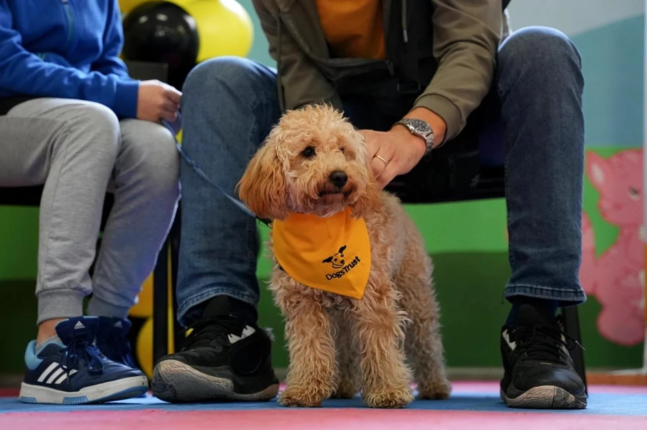 Dogs Trust uspješno završava gostujući ciklus besplatne obuke pasa i edukacije vlasnika u Mostaru