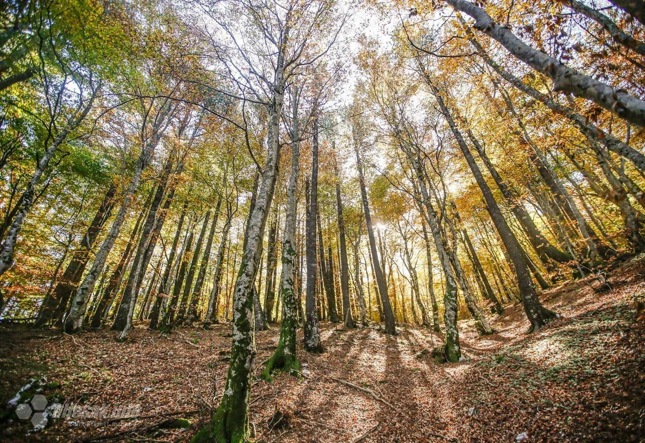 Svečano otvaranje tematsko-edukativne staze 'Park Slavena' na Rujištu