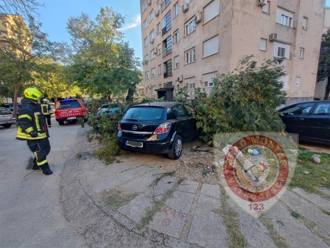 Mostar: Jak vjetar oborio stablo