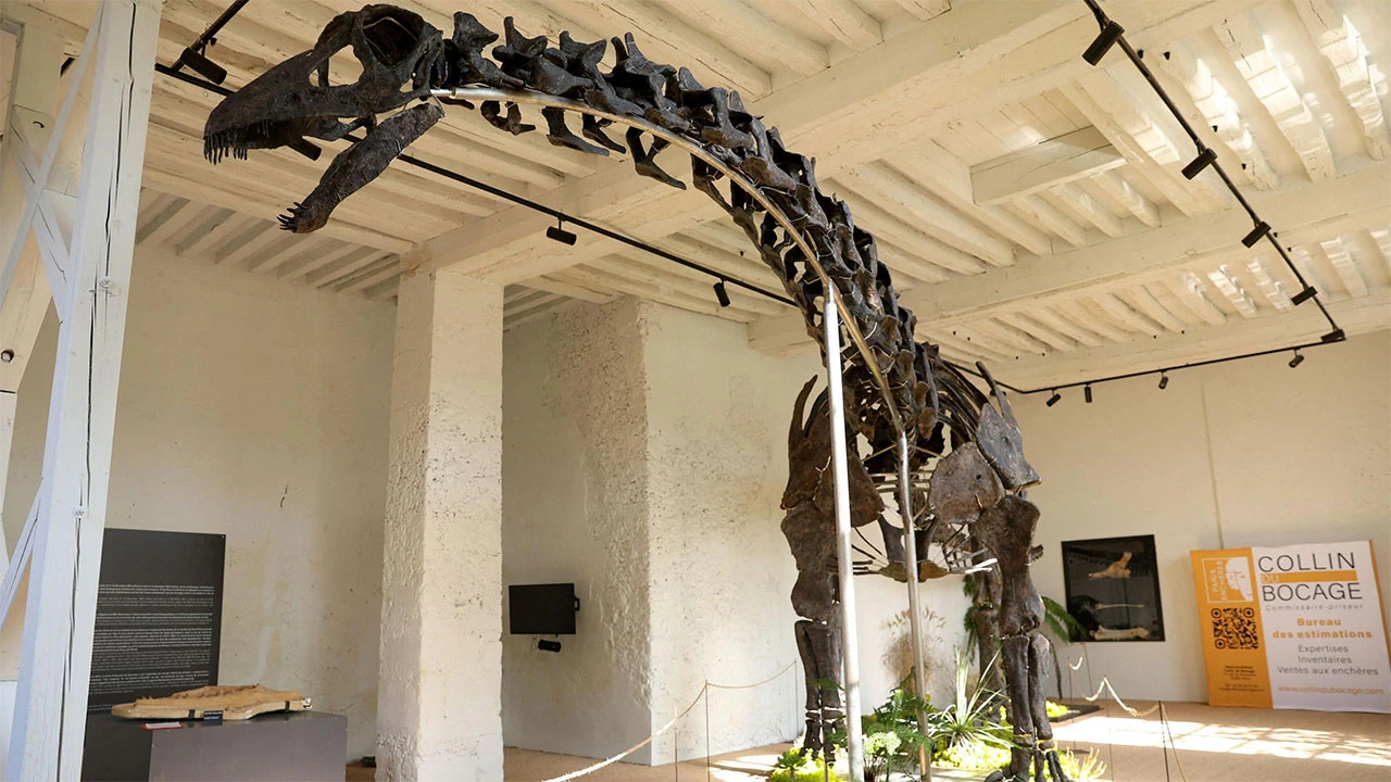 Kostur dinosaura prodan za 4,7 milijuna eura