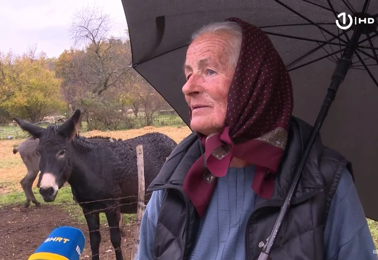Jedina farma magaraca u istočnoj Hercegovini: "Potražnja je puno veća od ponude"