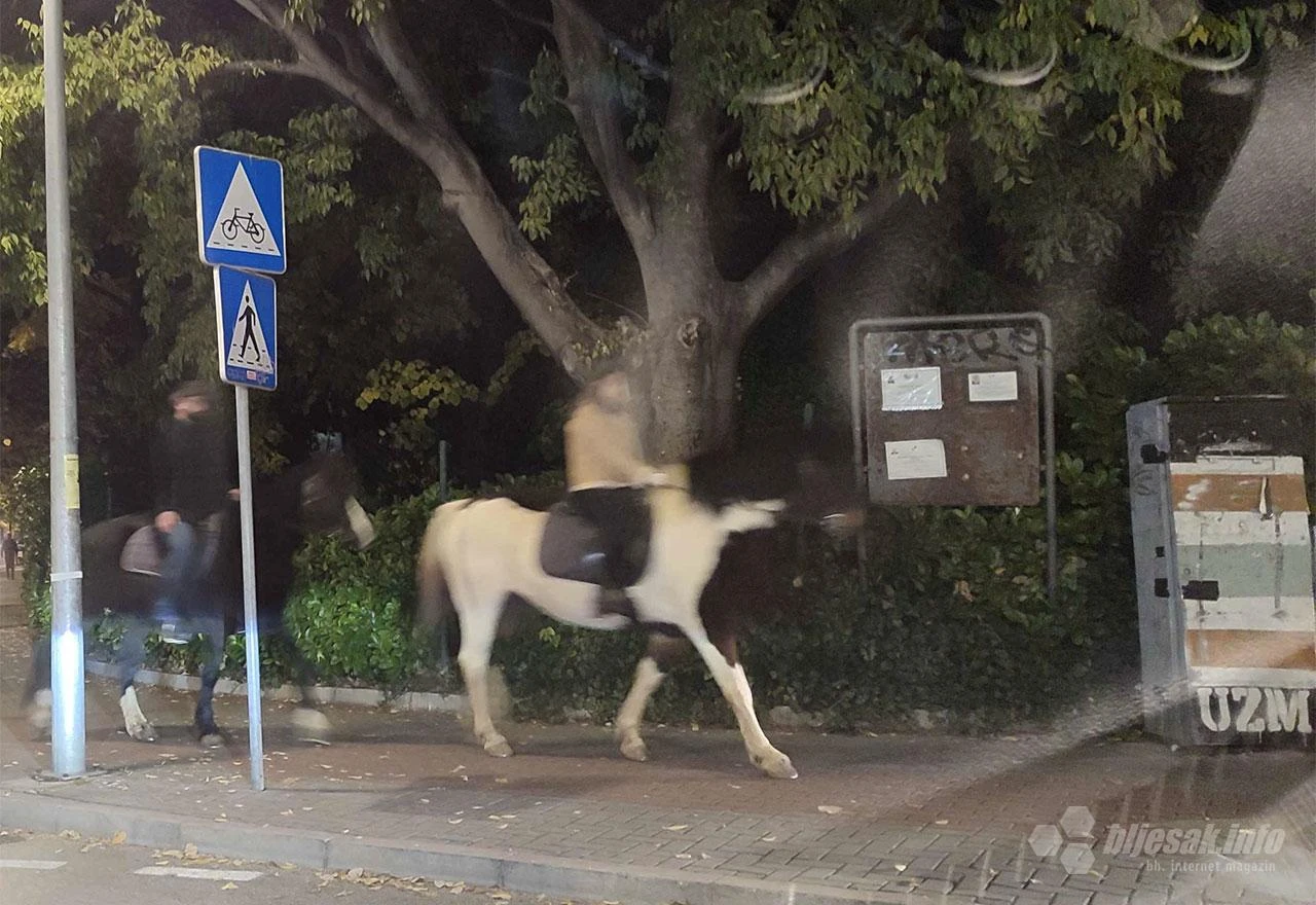 VIDEO Konji u noćnoj šetnji Mostarom