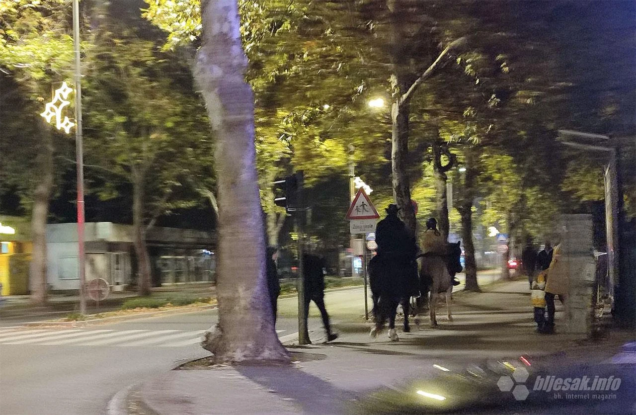 Poznato otkud konji na Aveniji 