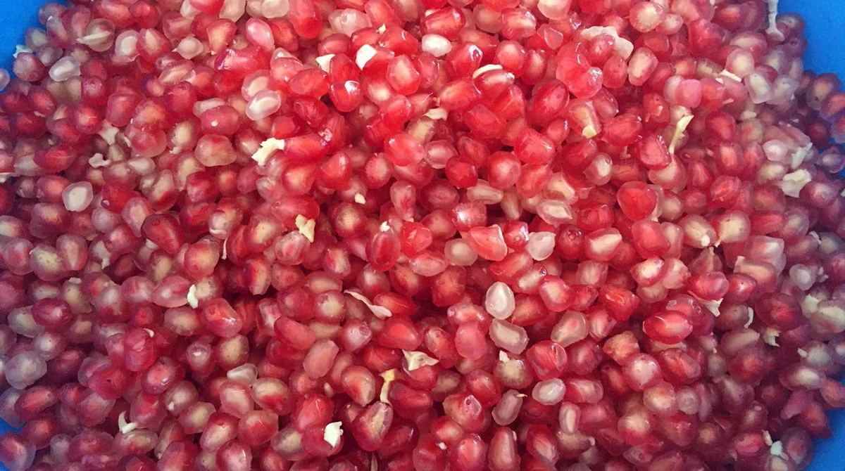 Šipak - simbol Hercegovine
