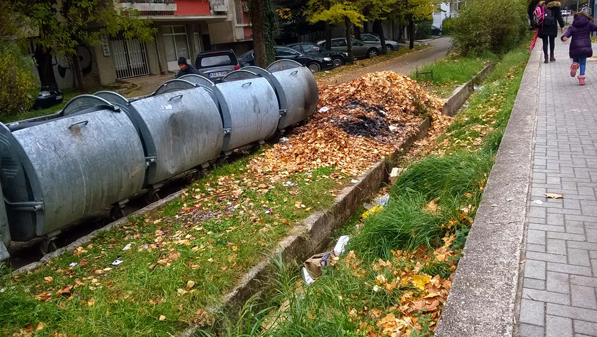 Kuda s lišćem?