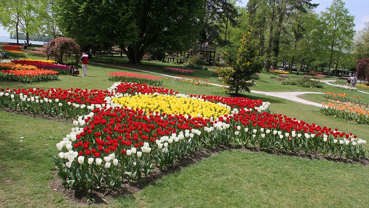 Festival tulipana