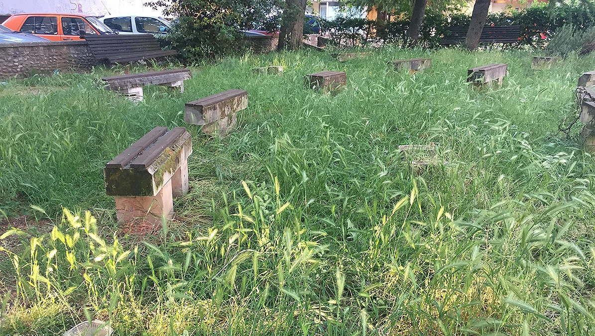 Trava do koljena