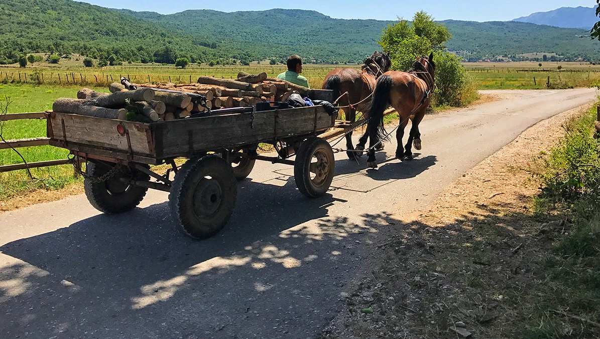 Konjska zaprega u mostarskim općinama