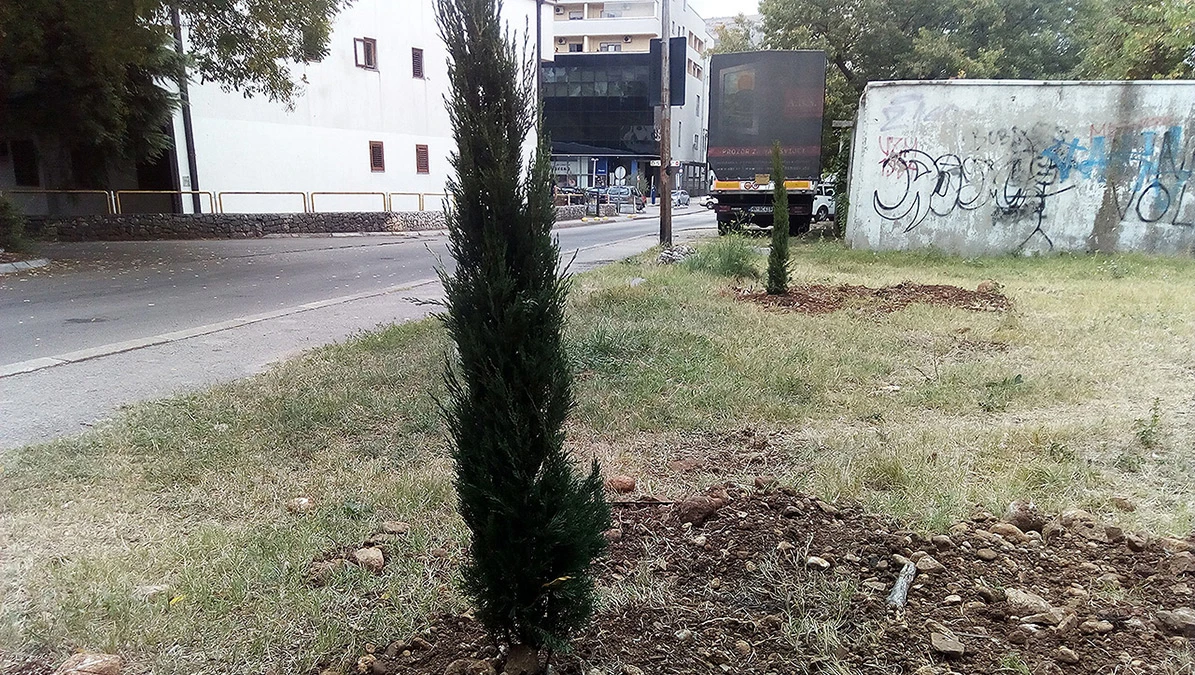 Nove sadnice za nove generacije