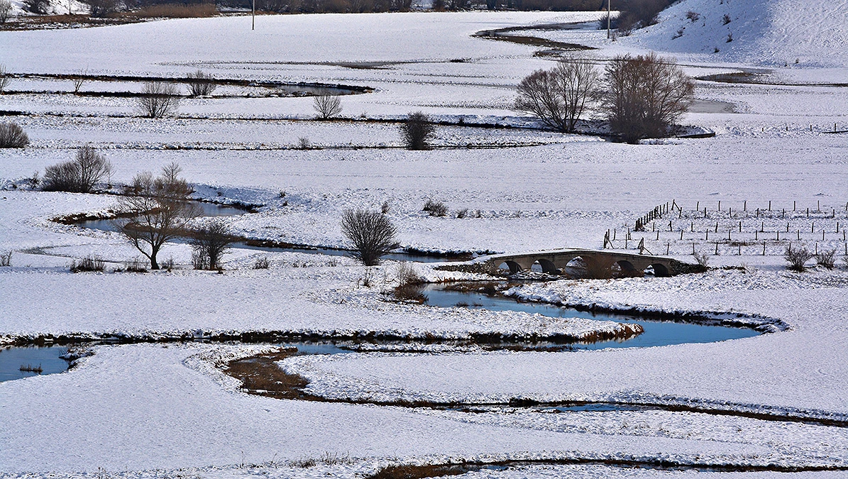 Šujica