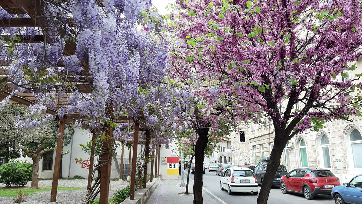  Mostar najtopliji