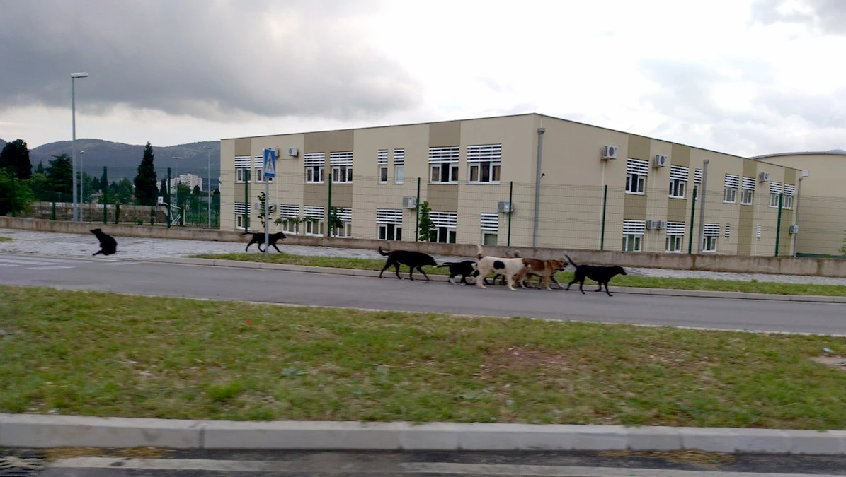 Na njih se nekad previše trošilo…