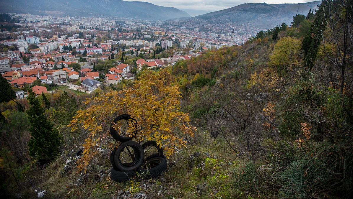 Zimska oprema i na drvetu 