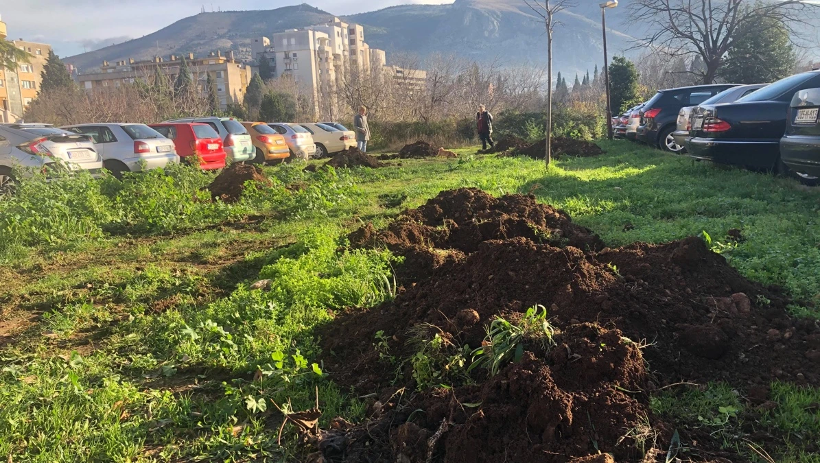 Vrijeme za revitalizaciju